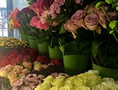 joy flowers harlow|About Us .
